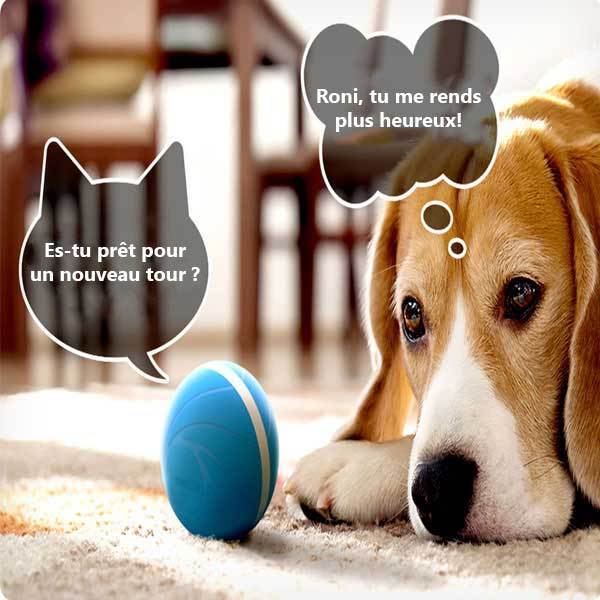 COMBAL™: Balle Intelligente Anti-ennui pour animaux de compagnie